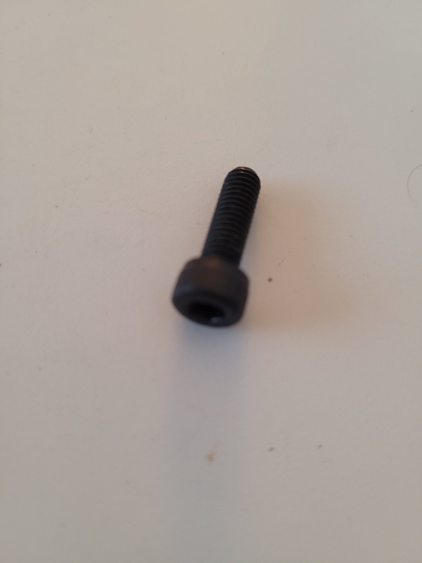 P24306 Screw