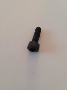 P24306 Screw
