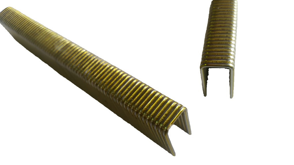 Heavy Duty Staples - Galvanised | Red Squirrel Trade & DIY