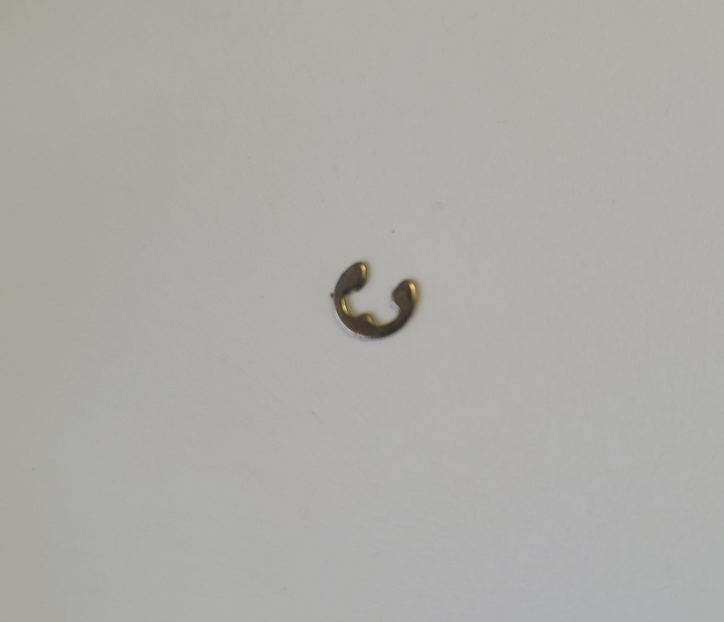 P32143 E Ring